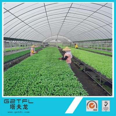 polycarbonate hollow sheet for Low cost greenhouse for big area vegetable plant